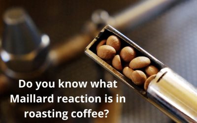 WHAT IS THE MAILLARD REACTION IN ROASTING COFFEE?